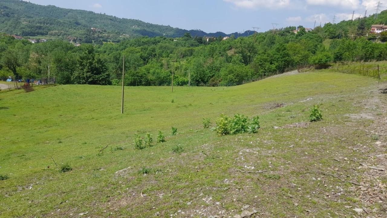 B&B La Casa Del Daino Millesimo Kültér fotó