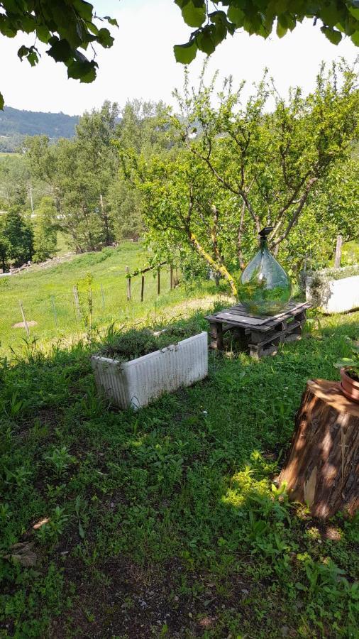 B&B La Casa Del Daino Millesimo Kültér fotó