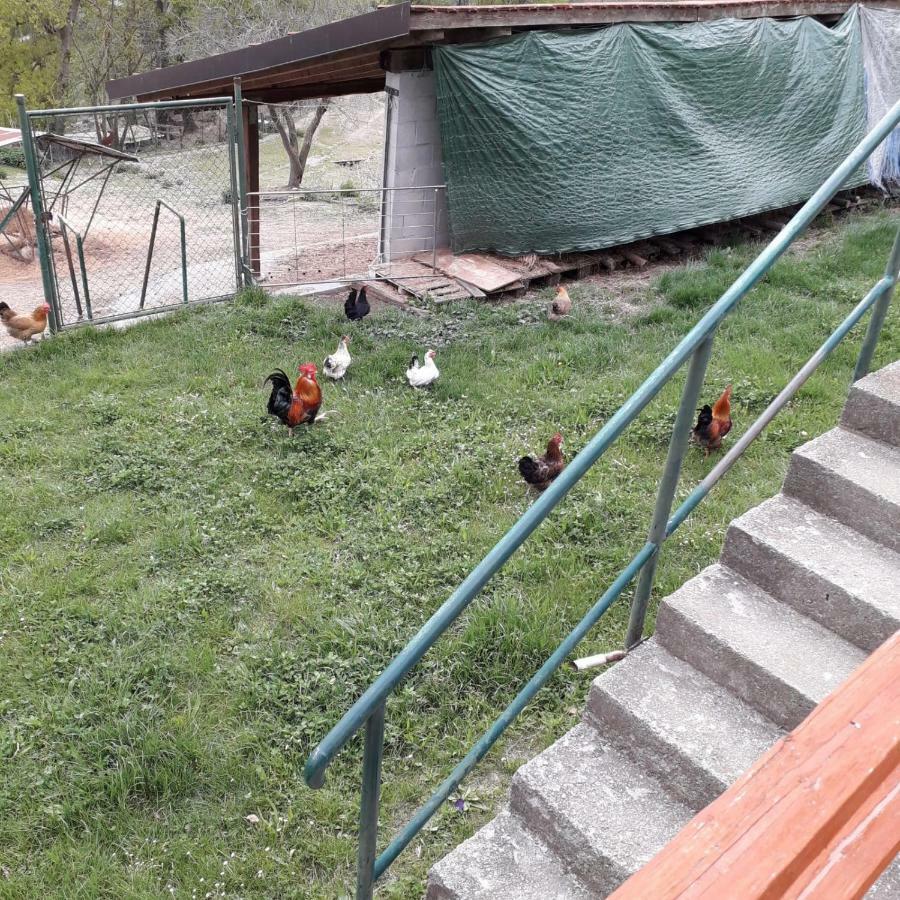 B&B La Casa Del Daino Millesimo Kültér fotó